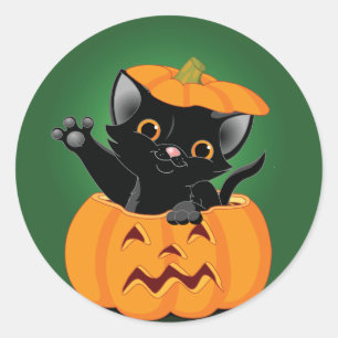 Zwarte kat in pompoenen ronde sticker