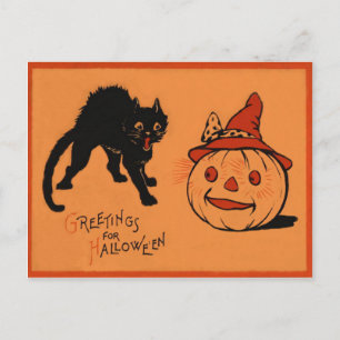 Zwarte Kat Jack O Lantern Pompoen Heksenhoed Briefkaart