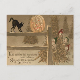 Zwarte Kat Jack O Lantern Pompoen Hooihoop Briefkaart