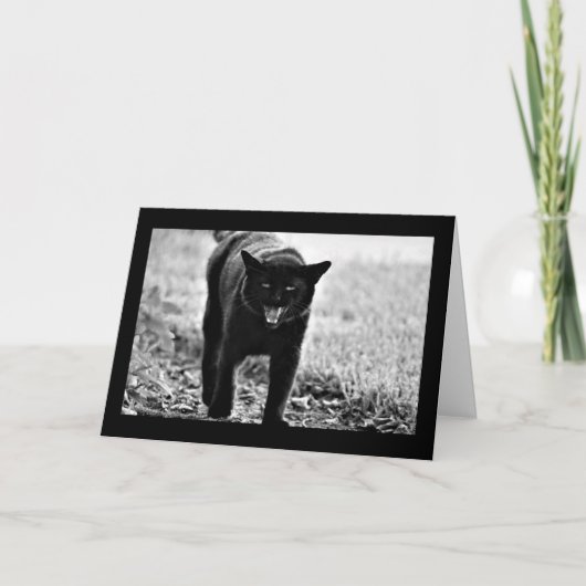 "Zwarte Kat " Kaart (Voorkant)