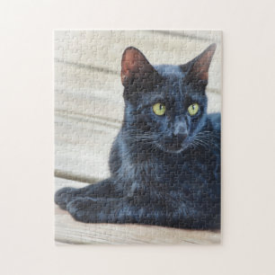 Zwarte Kat Kat Art Puzzel