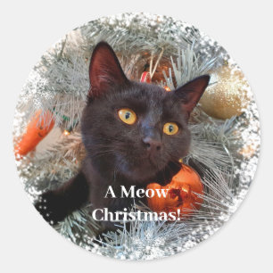 Zwarte kat, Kerstmis Ronde Sticker