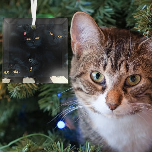Zwarte Kat Knuffel Stapels Poezen Schattig Glas Ornament