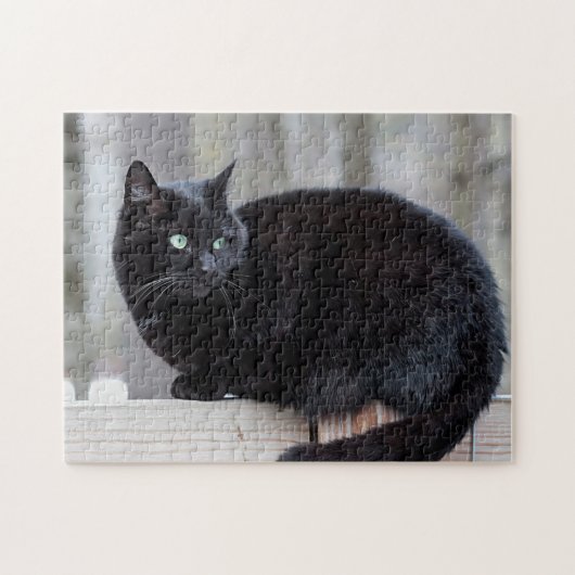Zwarte kat legpuzzel (Horizontaal)