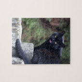 Zwarte kat legpuzzel (Horizontaal)