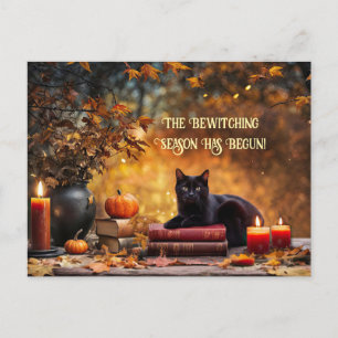 Zwarte kat magische boeken betoveren Halloween Feestdagenkaart
