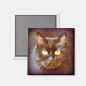 zwarte kat magneet (Voorkant / Achterkant)