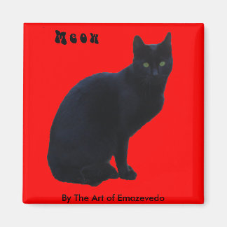 Zwarte kat magneet