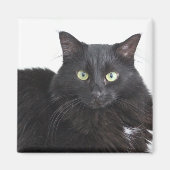 Zwarte kat magneet (Voorkant)