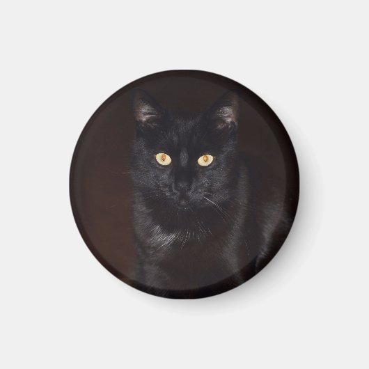 Zwarte kat magneet (Voorkant)