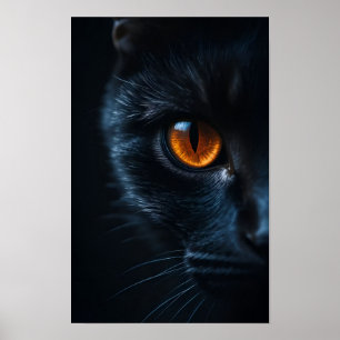 Zwarte Kat met Amber Oog Poster