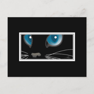 Zwarte kat met blauwe ogen briefkaart
