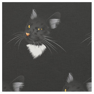 Zwarte kat met gele ogen in het donker stof
