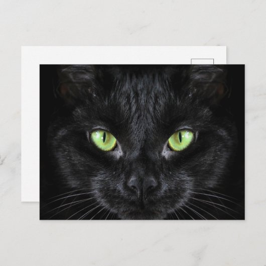 Zwarte kat met groene ogen briefkaart (Voorkant / Achterkant)