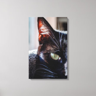 Zwarte Kat met Groene Ogen Ingepakt Canvas Afdruk