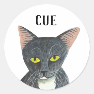 Zwarte kat met illustraties ronde sticker