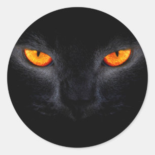 Zwarte Kat met Oranje Ogen Ronde Sticker