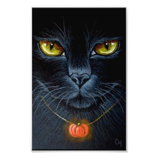 ZWARTE KAT MET POMPOEN HANGER 10 CM X 15 CM FOTO AFDRUK