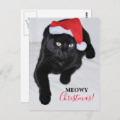 Zwarte kat met rode kersthat briefkaart (Voorkant / Achterkant)