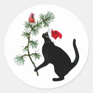 Zwarte kat met rode vogel in kerstboom Stickers