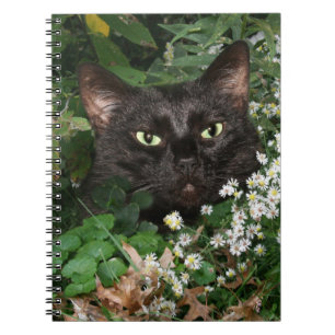 Zwarte kat met wilde bloemen notitieboek