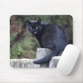 Zwarte kat muismat (Met muis)