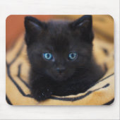 zwarte kat muismat (Voorkant)