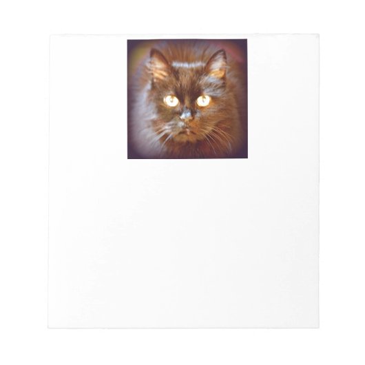 zwarte kat notitieblok (Voorkant)