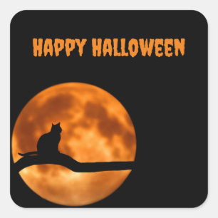 Zwarte kat onder Oranje maan Sticker
