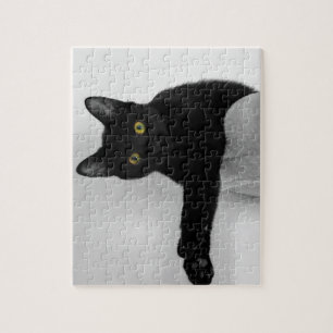Zwarte kat ontspannen op bank legpuzzel