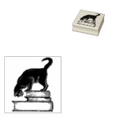 Zwarte kat op boekenrubberen stempel (Gestempeld)