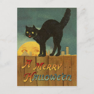 Zwarte kat op een hek tijdens Halloween nacht, vin Briefkaart