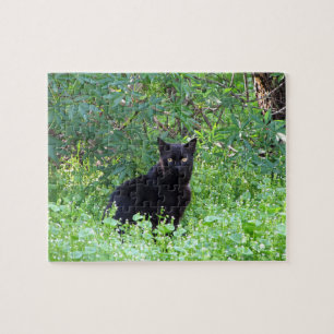 Zwarte kat op een lentedag legpuzzel