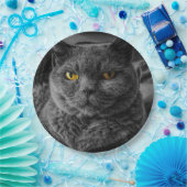 Zwarte kat papieren bordje (Feest)