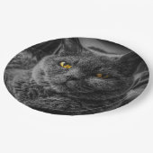 Zwarte kat papieren bordje (Gekanteld)