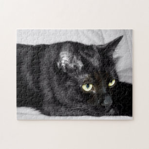 Zwarte kat portret legpuzzel