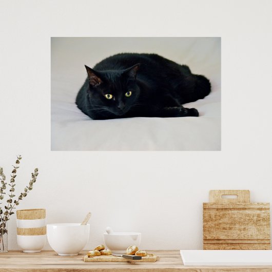 Zwarte kat poster (Keuken)