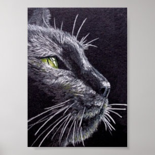 Zwarte kat poster