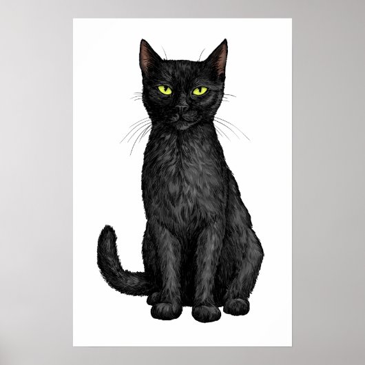 Zwarte kat poster (Voorkant)