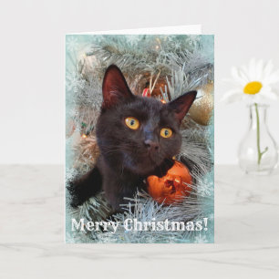 Zwarte Kat Prettig Kerstfeest Kaart