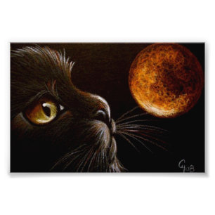 ZWARTE KAT-PROFIEL ORANJE MOON HALLOEEN NACHT FOTO AFDRUK