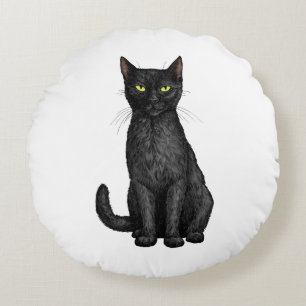 Zwarte kat rond kussen
