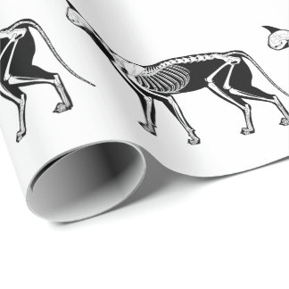 Zwarte kat Silhouette Skeleton Wrapping Paper Cadeaupapier