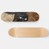 zwarte kat skateboard (Horizontaal)