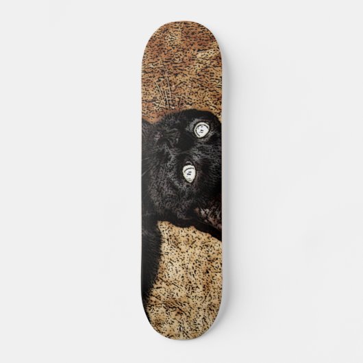 zwarte kat skateboard (Voorkant)