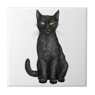Zwarte kat tegeltje
