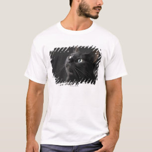 Zwarte kat tegen zwarte achtergrond, close-up t-shirt