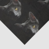 Zwarte kat tissuepapier (Detail)