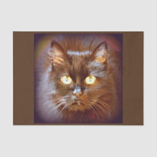 zwarte kat tissuepapier (Voorkant)