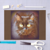 zwarte kat tissuepapier (Craft)